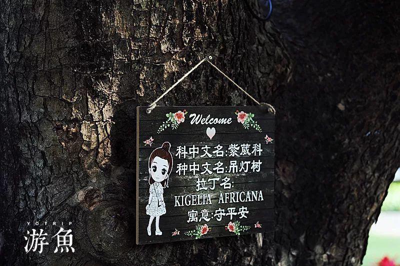 古堡逃生